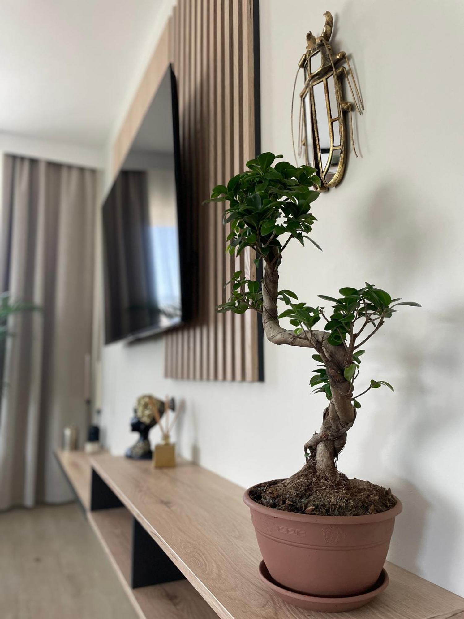 Apartment 13 *